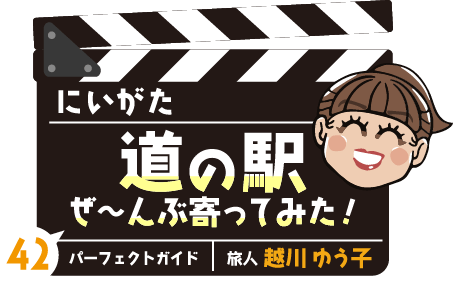 にいがた道の駅ぜ～んぶ寄ってみた！